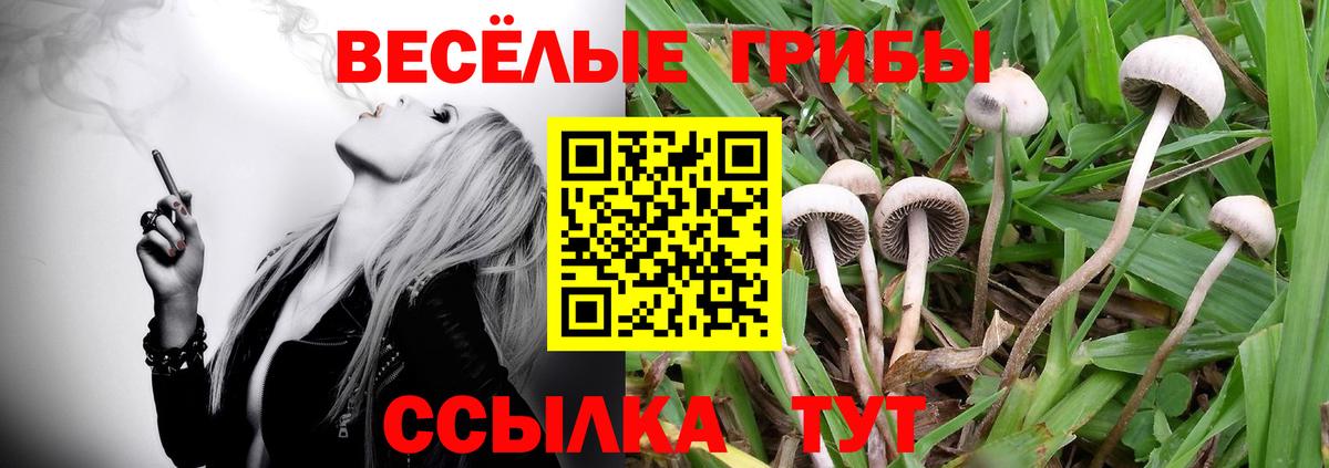 Псилоцибиновые грибы ЛСД  Вход с VPN  Псилоцибиновые грибы прущие грибы  Петрозаводск 